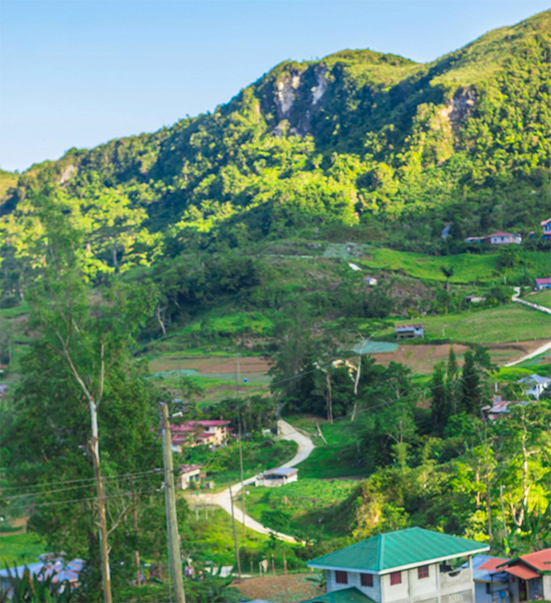 Osmeña Peak Hike: Trail