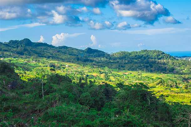 Osmeña Peak Hike: Dalaguete Cebu