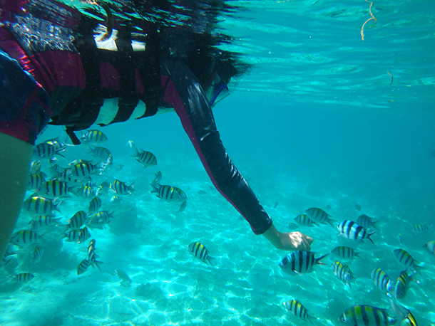 Island Hopping Mactan Cebu: Olanggo Island Fish Sanctuary