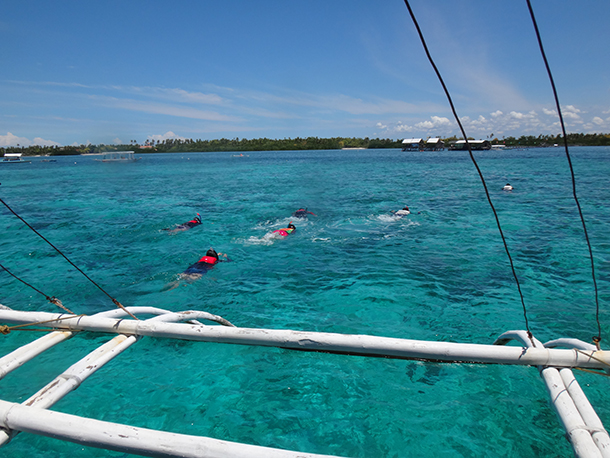 Island Hopping Mactan Cebu: Swimming