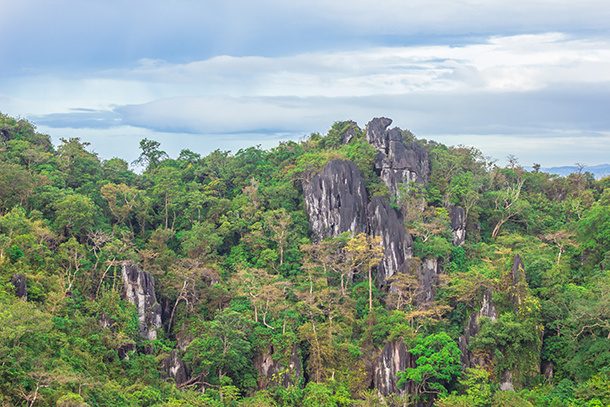 Karst Landscape