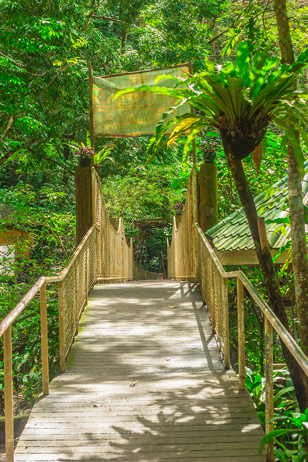 Daranak Falls: Bridge