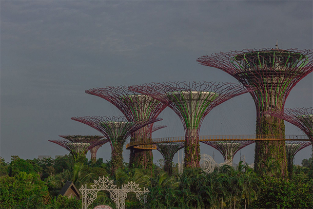Gardens By The Bay