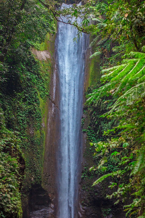 Casaroro Falls Valencia Guide: View Near the Falls