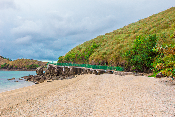 Bridge/ Pathway