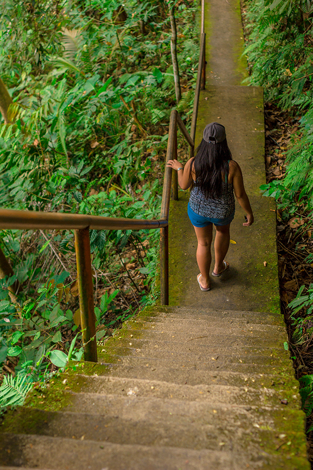 Casaroro Falls Valencia Guide: Falls 300+ Steps