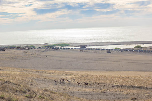 Paoay Sand Dunes: 1st Stop for Group Photo