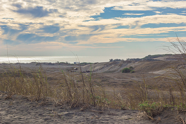 Paoay Sand Dunes: Second Stop