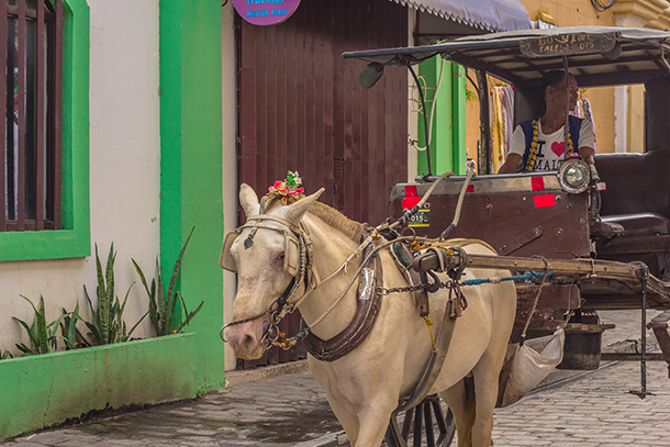 Ilocos Tour Photos: Vigan Kalesa