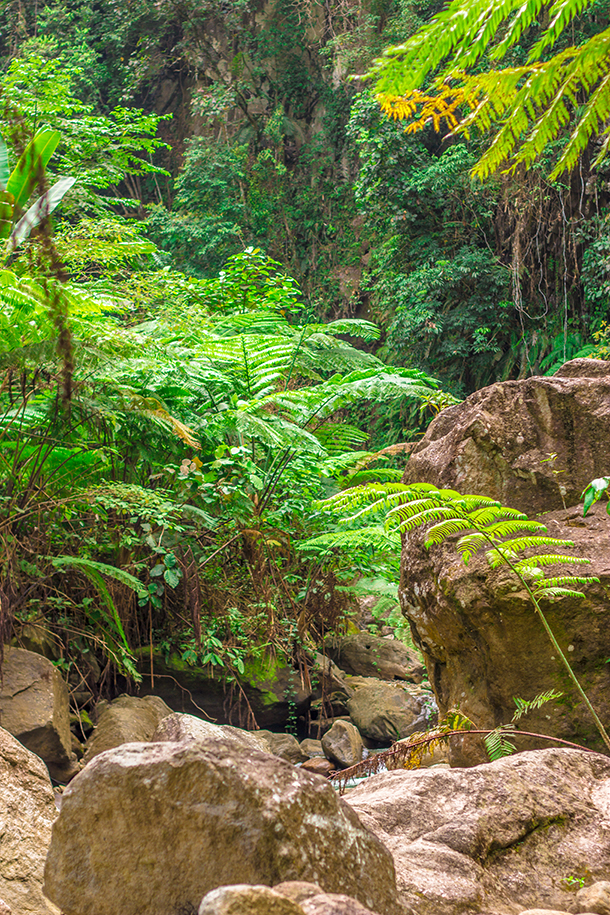 Casaroro Falls Valencia Guide: Trail to the Falls