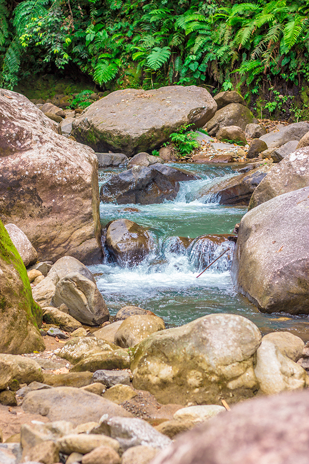 Casaroro Falls Valencia Guide: Trail to the Falls