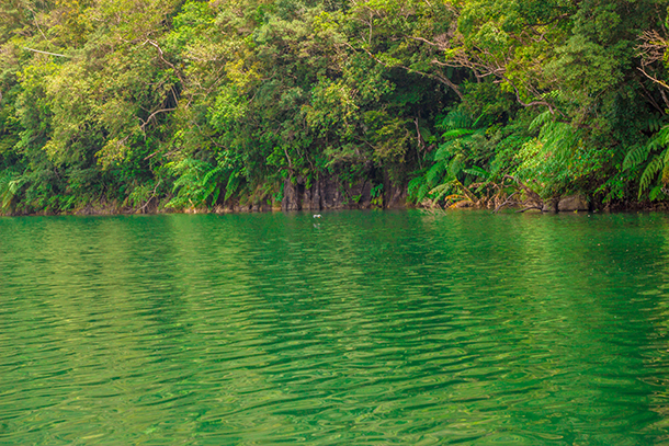 Twin Crater Lakes: Tranquil Lake