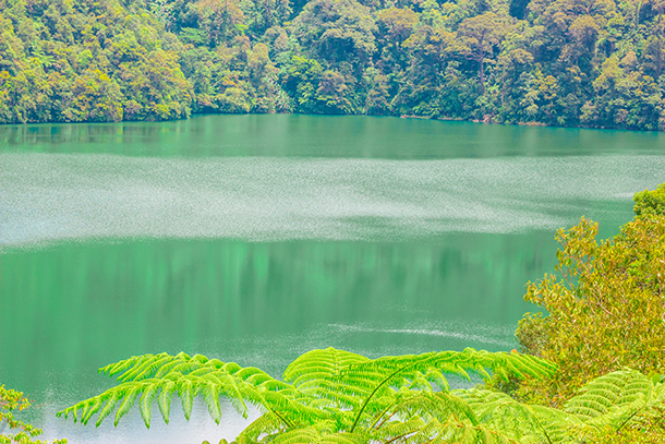 Twin Crater Lakes: Lake Danao Negros Oriental