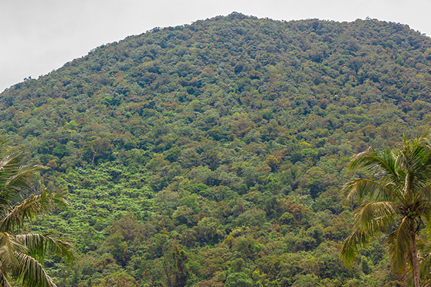 Twin Crater Lakes: View of the Sibulan Mountains