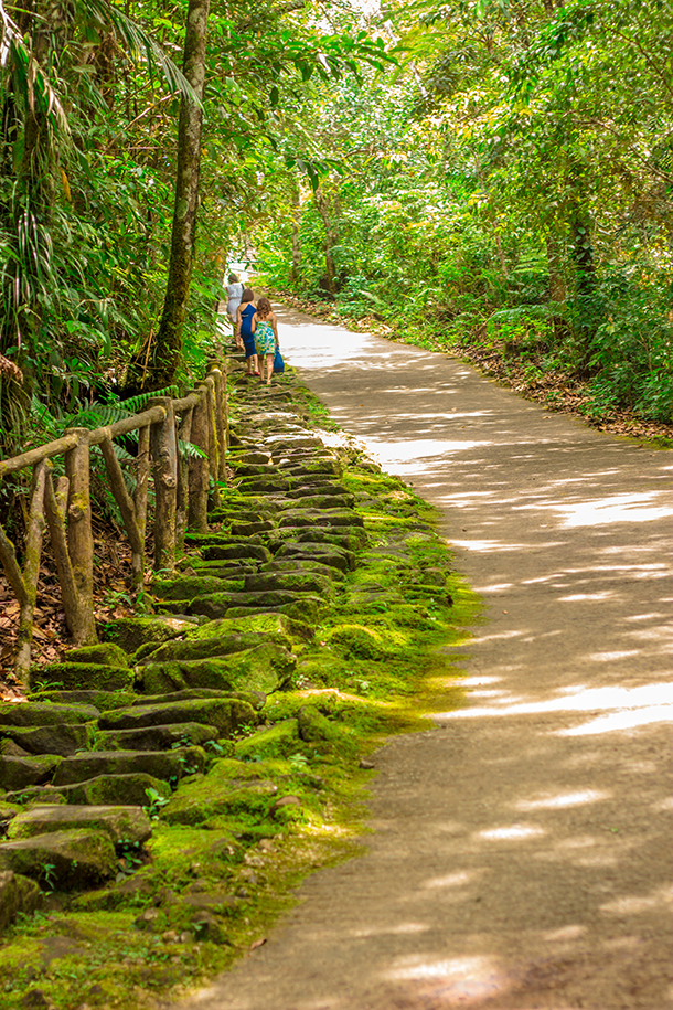 Twin Crater Lakes: Road Leading to the Lake Balinsasayao