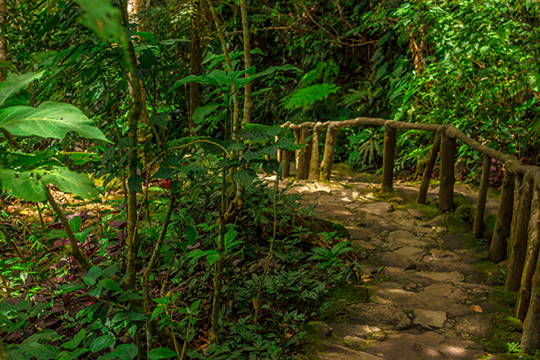 Twin Crater Lakes: Steps to Lake Balinsasayao