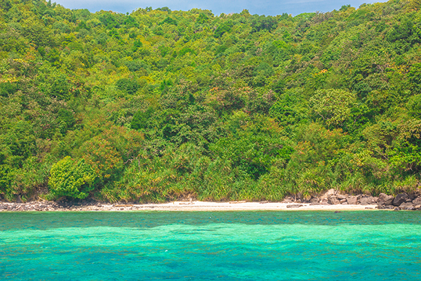 Apo Island: Beach near the 2nd site