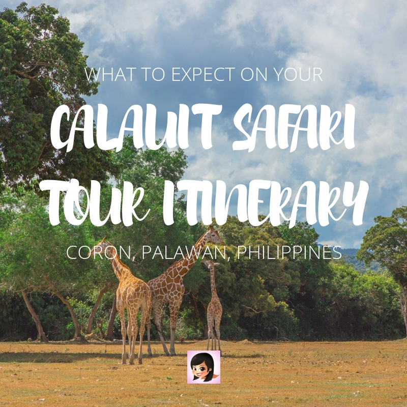 Coron, Palawan: The Calauit Safari Tour Itinerary | OSMIVA (2020 Update)