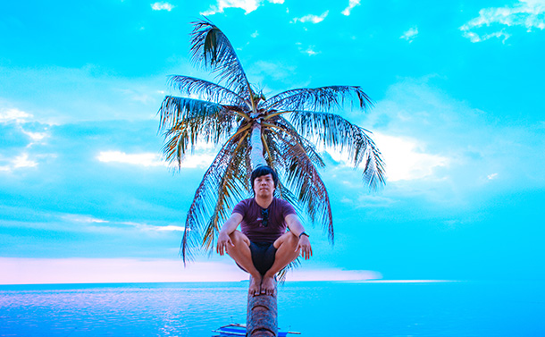 Coconut Tree at the Paliton Beach