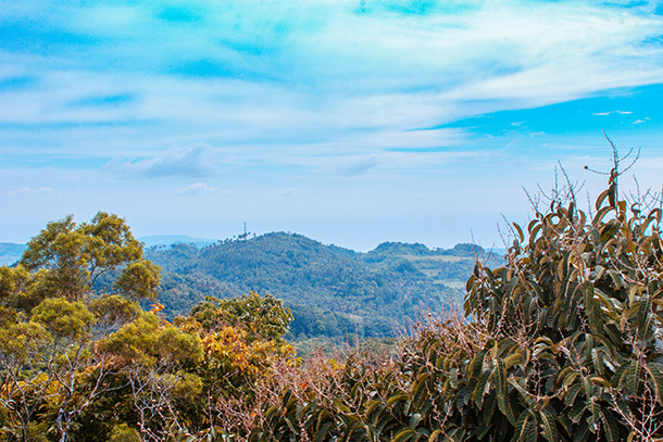 View From the Highest Point of Siquijor, an Underrated Philippines’ Destination