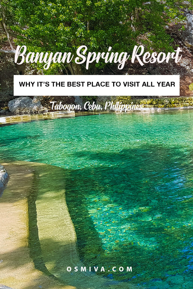 Banyan Spring Resort (formerly known as Guiwanon Cold Spring) in Tabogon is a great place to relax with families and friends when visiting Northern Cebu in the Philippines. Here's a quick guide on why this is a great place to visit all year round! #philippines #tabogoncebu #tabogon #guiwanoncoldspring #banyanspringresort #travelph #cebudaytrips